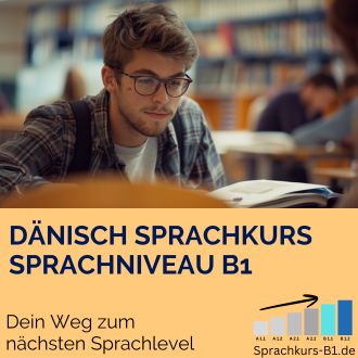 Dänisch Sprachkurs B1